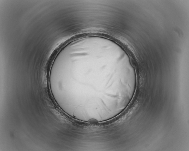 X0000111510973200908111305