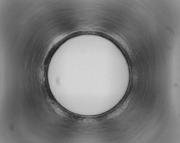 X0000111510974200908111305