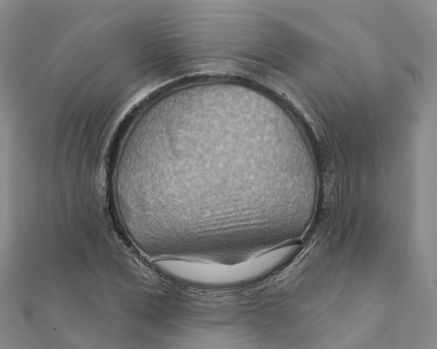 X0000111510975200908111305