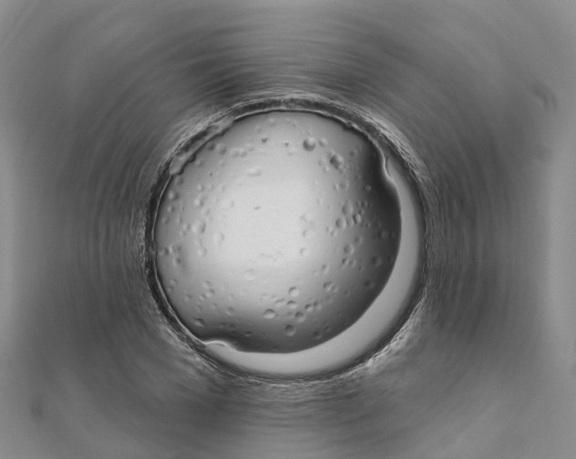 X0000111510977200908111305