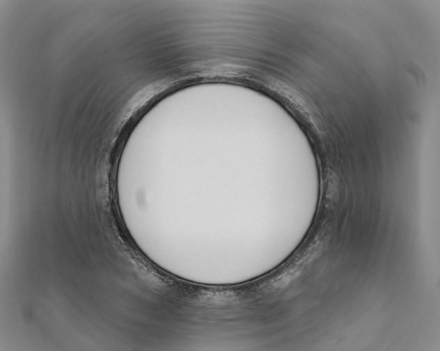 X0000111510978200908111305