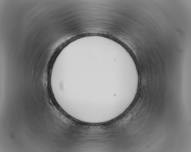 X0000111510979200908111305