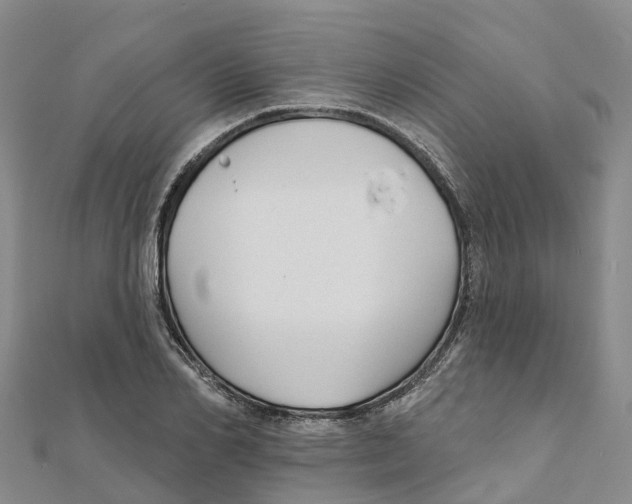 X0000111510982200908111305