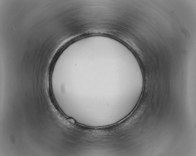 X0000111510984200908111305