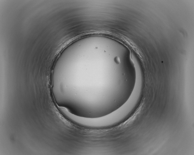 X0000111510985200908111305
