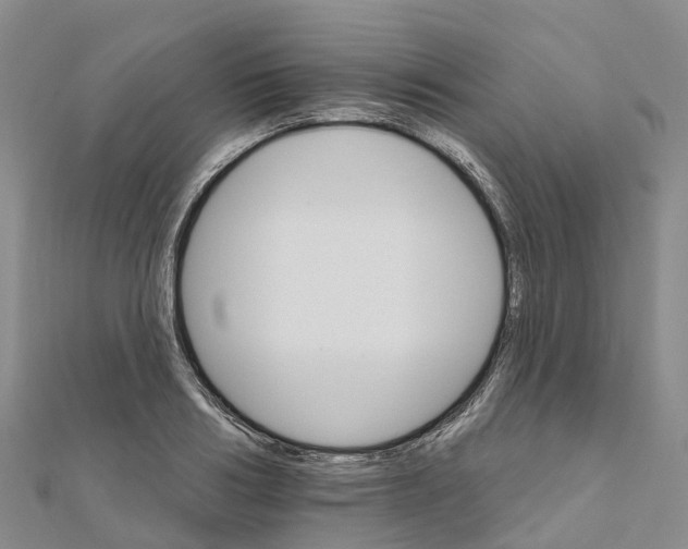 X0000111510986200908111305