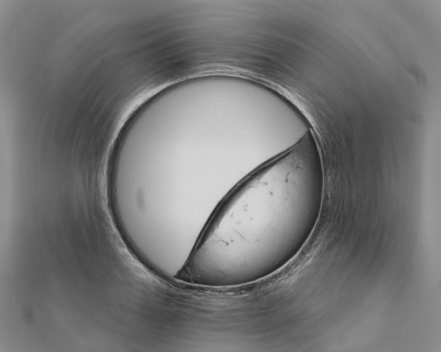X0000111510987200908111305