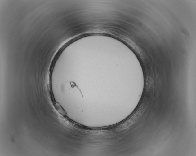 X0000111510988200908111305