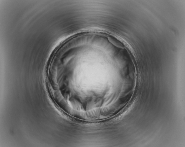 X0000111510989200908111305
