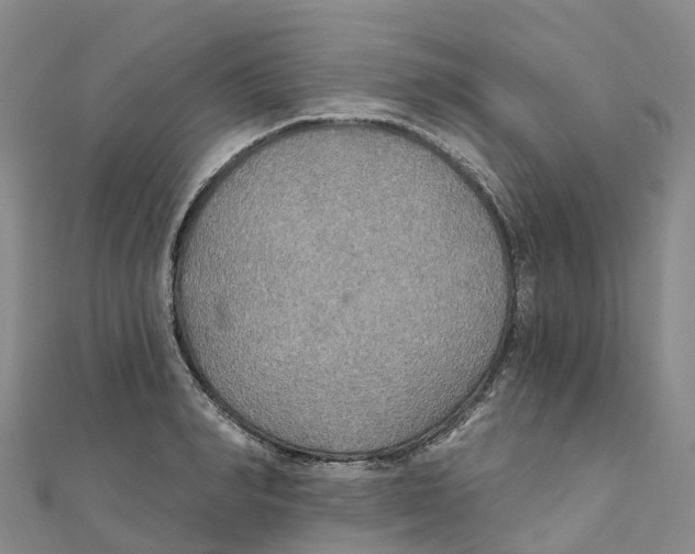 X0000111510990200908111305