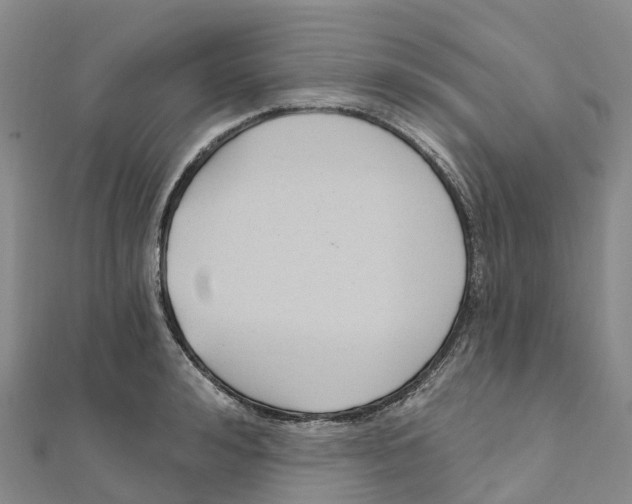 X0000111510992200908111305