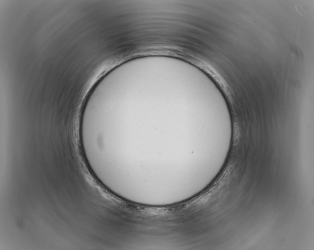 X0000111510994200908111305