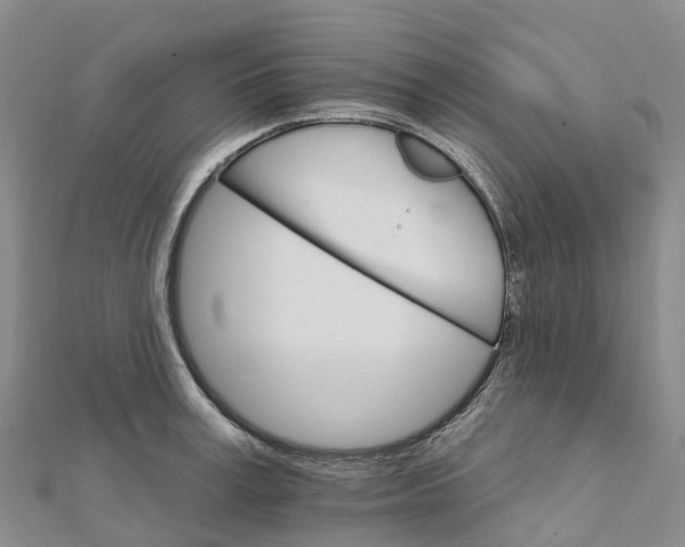 X0000111510995200908111305