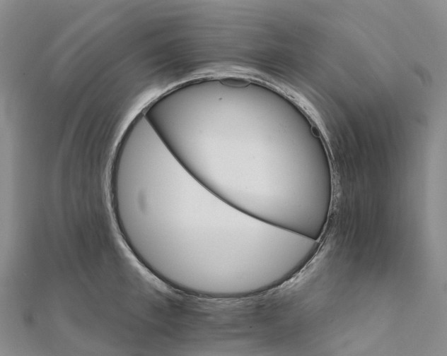X0000111510997200908111305