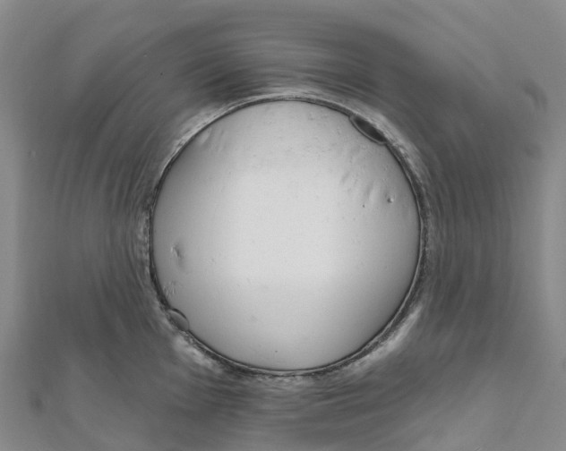 X0000111511001200908111305