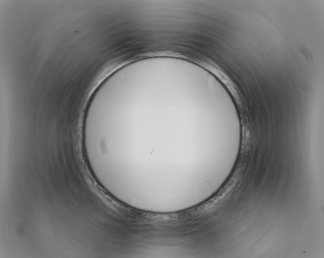 X0000111511002200908111305