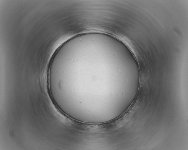 X0000111511003200908111305