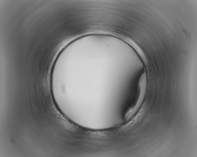 X0000111511004200908111305