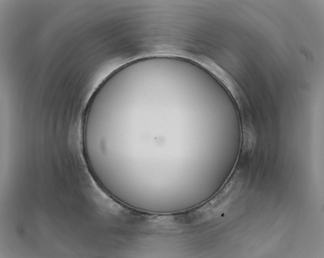 X0000111511006200908111305