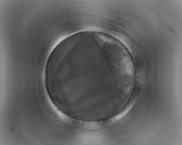 X0000111511007200908111305