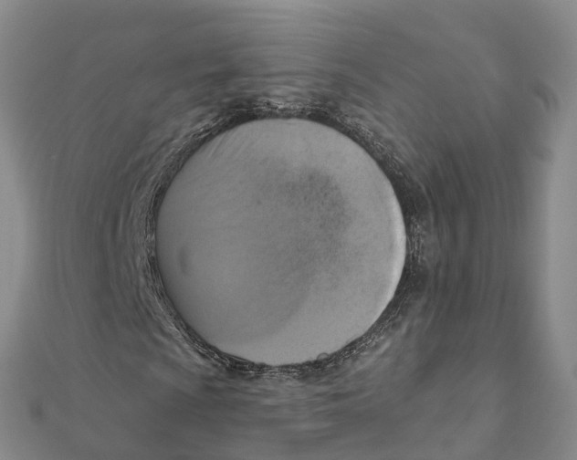 X0000111511009200908111304