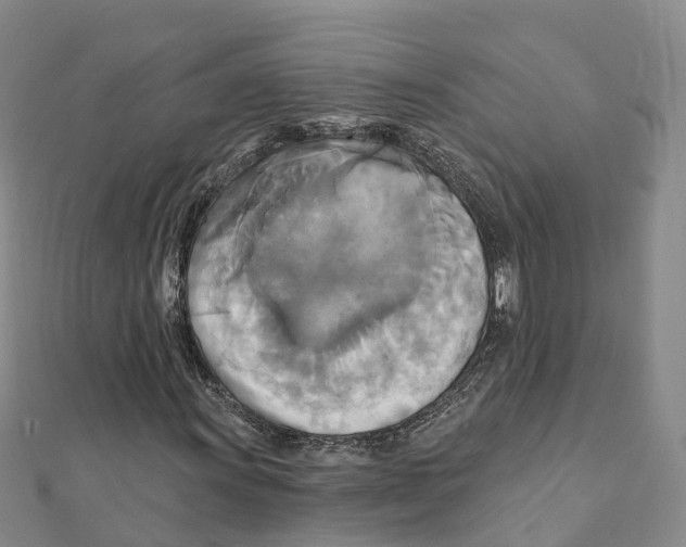 X0000111511011200908111304