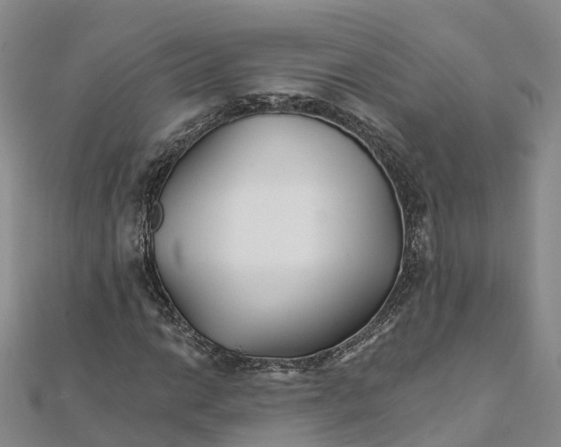 X0000111511014200908111304