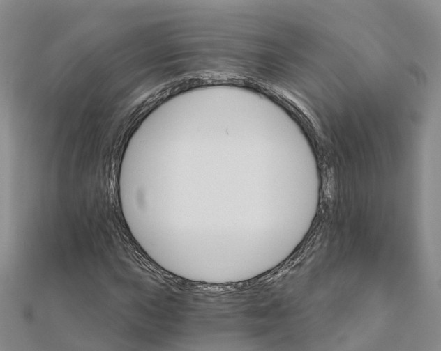 X0000111511015200908111304