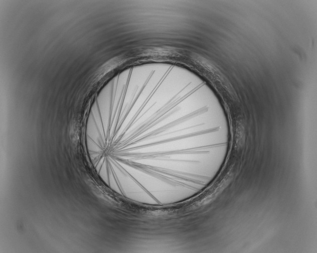 X0000111511017200908111304