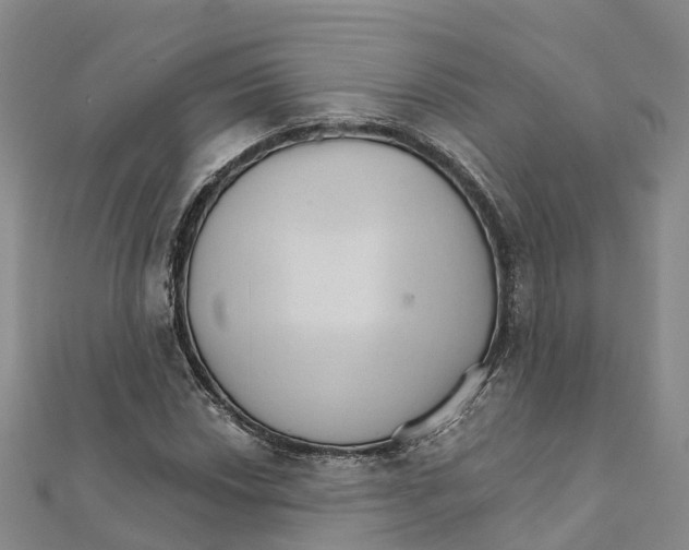 X0000111511018200908111304