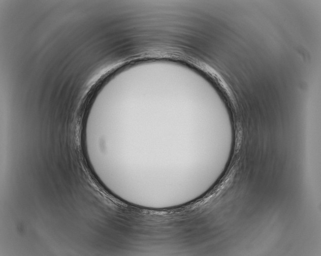 X0000111511019200908111304