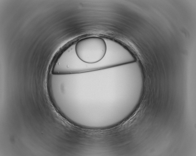 X0000111511020200908111304