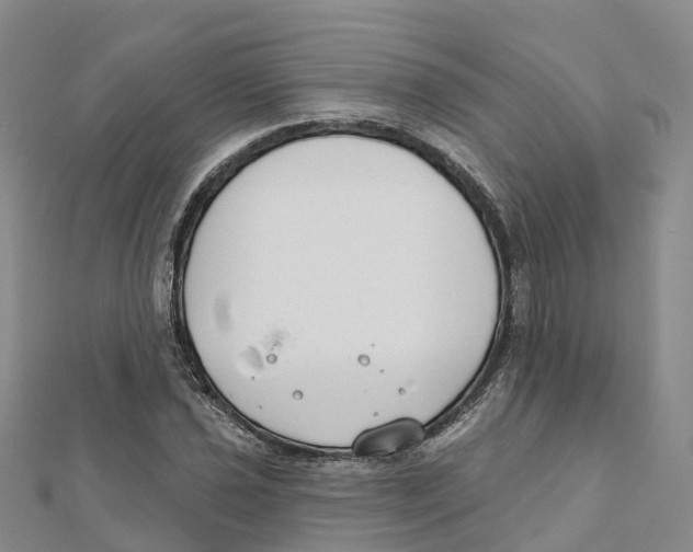 X0000111511021200908111304