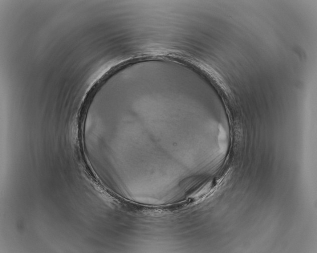 X0000111511023200908111304