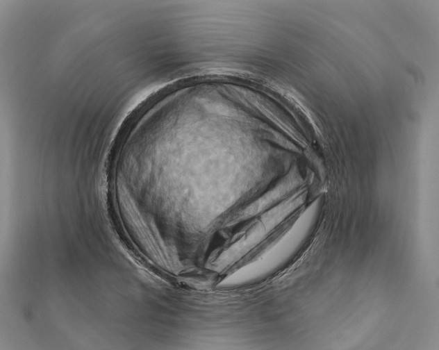 X0000111511024200908111304