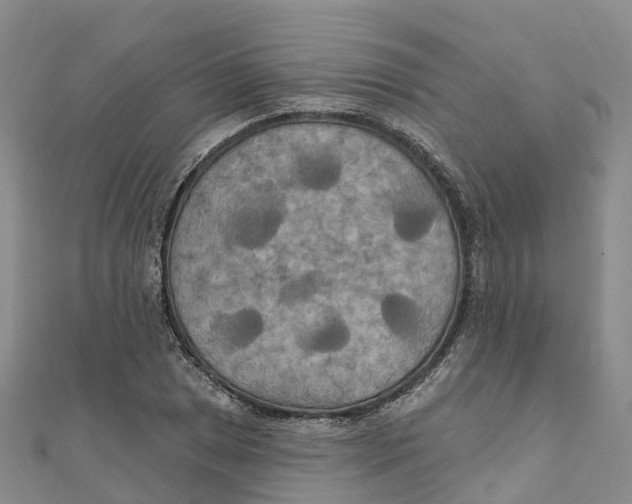 X0000111511025200908111304