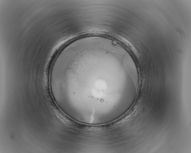 X0000111511027200908111304