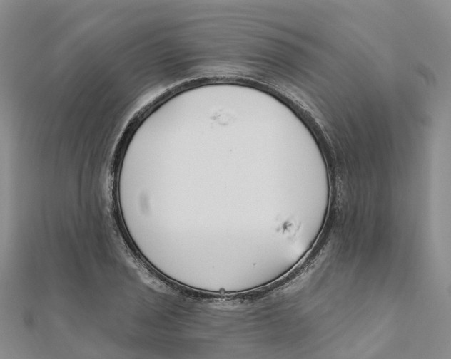 X0000111511029200908111304