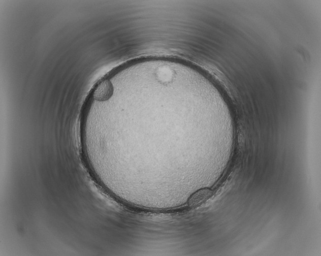 X0000111511030200908111304