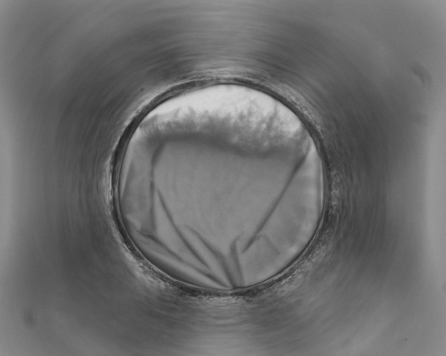 X0000111511031200908111304
