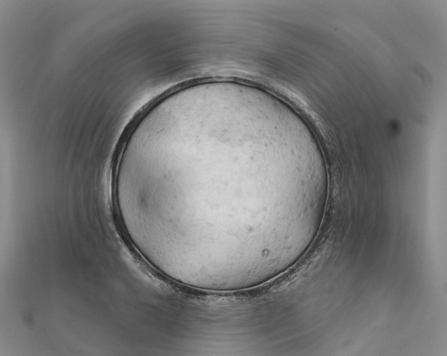 X0000111511032200908111304