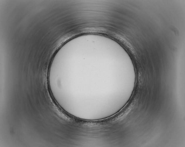 X0000111511033200908111304