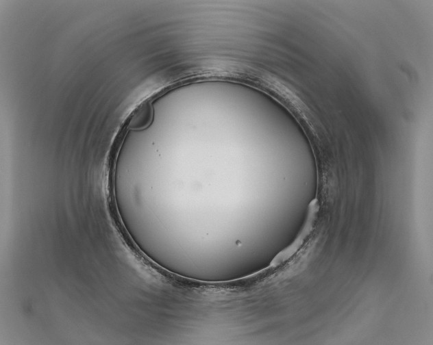 X0000111511034200908111304