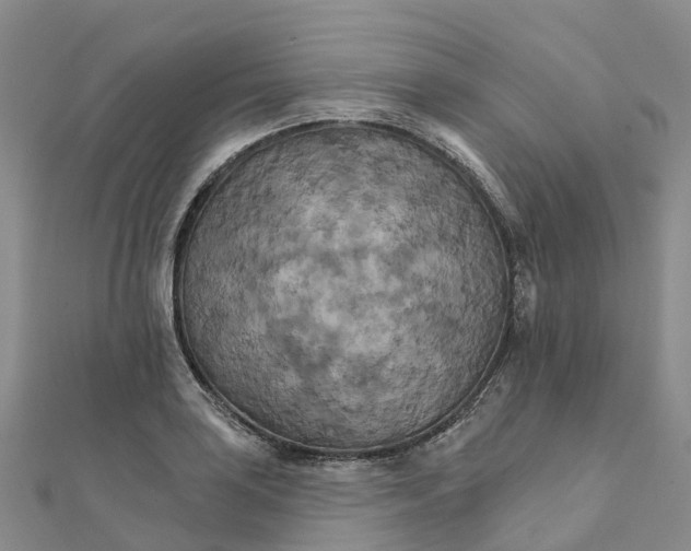 X0000111511035200908111304