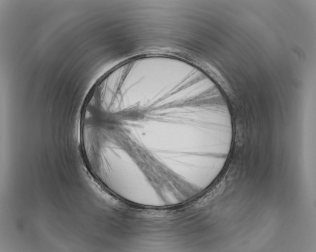 X0000111511036200908111304