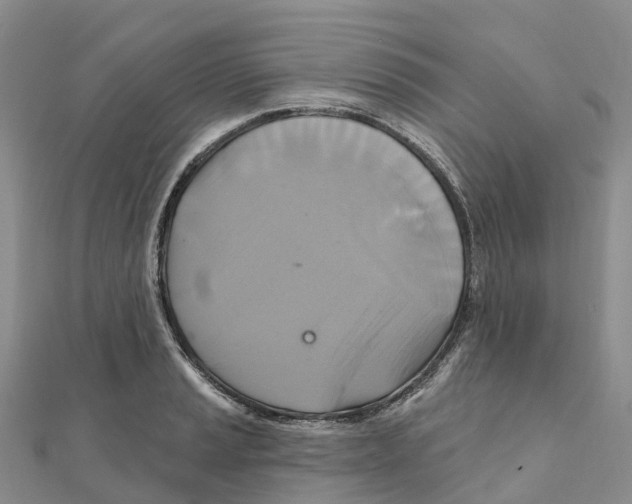 X0000111511037200908111304