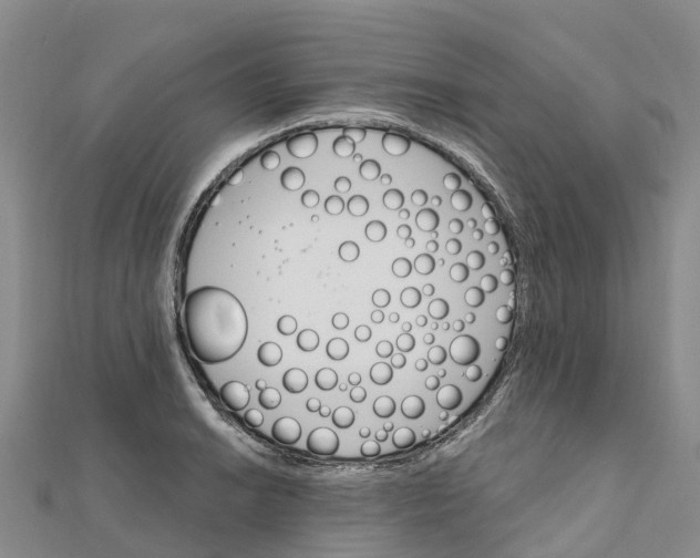X0000111511038200908111304