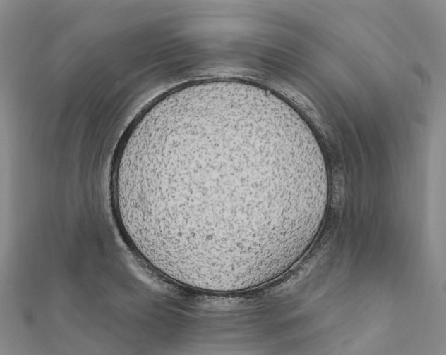 X0000111511039200908111304