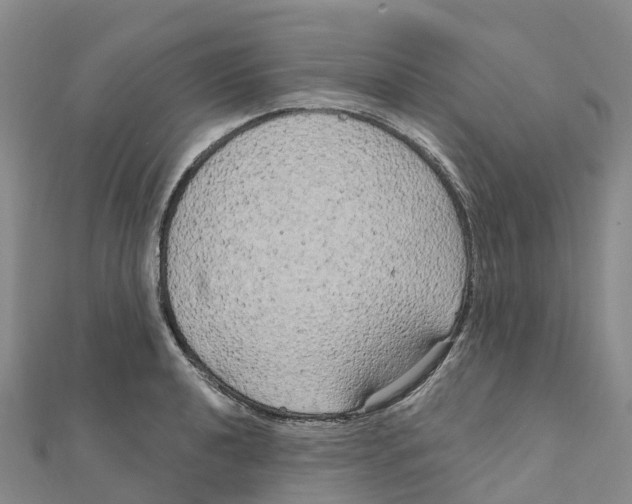 X0000111511040200908111304