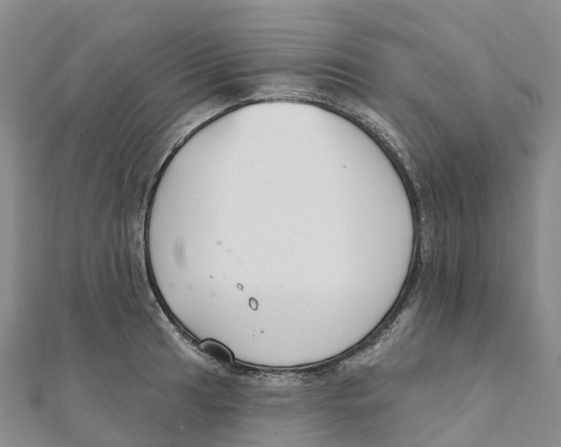 X0000111511041200908111304